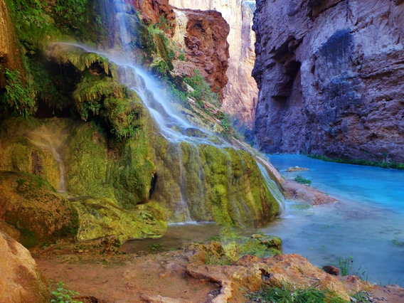 Alex Wood - Shower Spring 2015 Havasu Falls