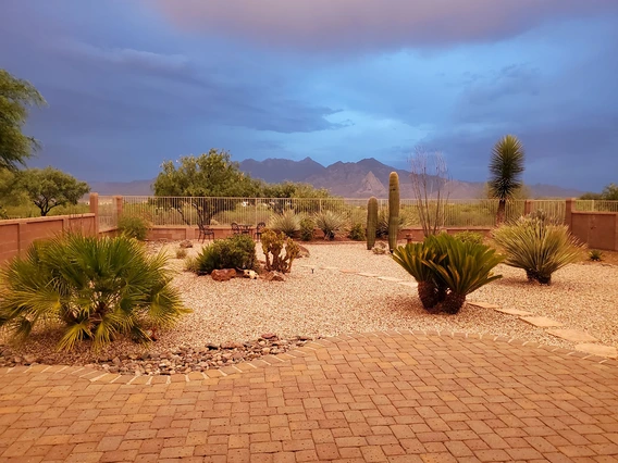 Sherrie Lee Lucia - Color Of Rain 2020 Green Valley AZ