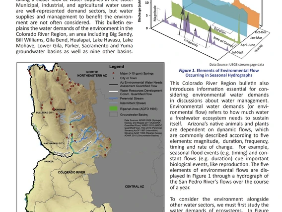 Publication Arizona Environmental Flows