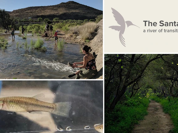 Santa Cruz River Webinar