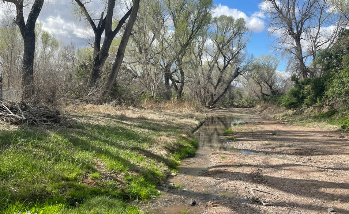 patagonia az