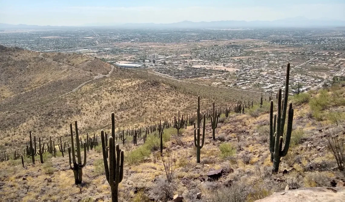 Tumamoc Hill in Tucson, AZ