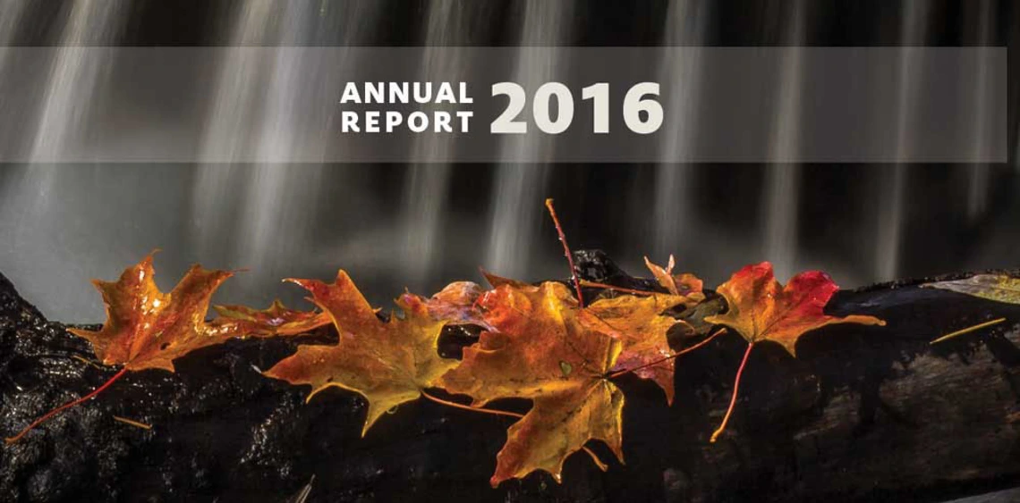 annual report 2016 cover 2016 annual report 2016 cover 2016