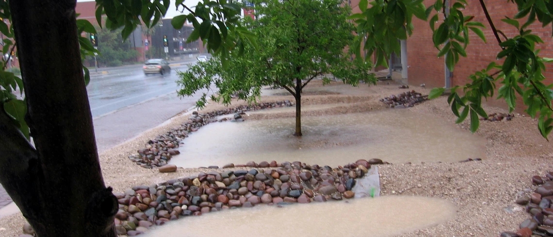 rainwater harvesting on campus rainwater harvesting on campus