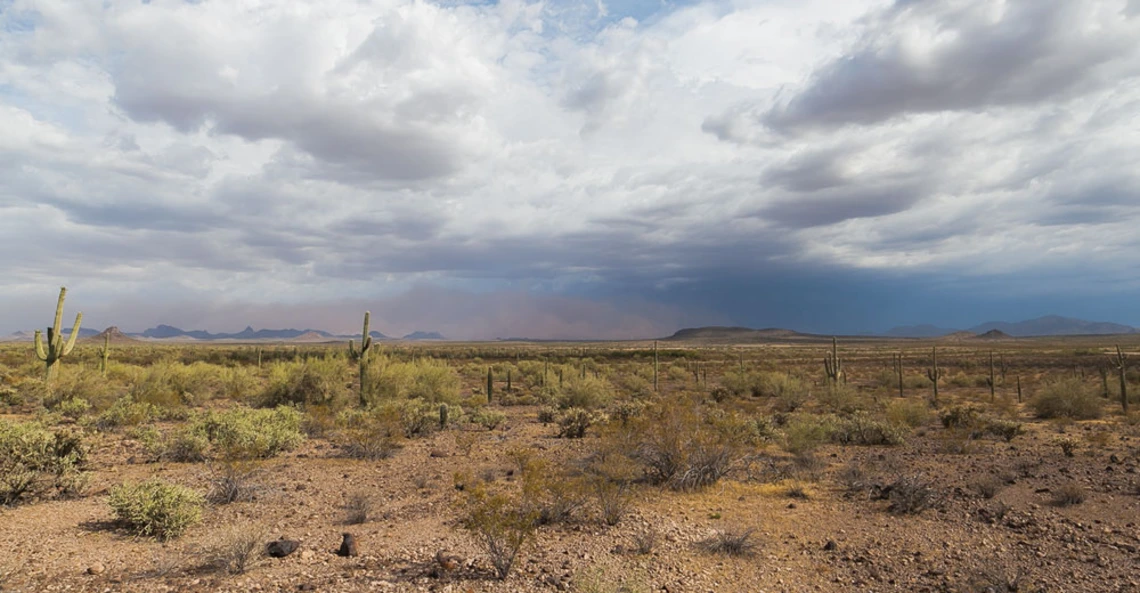 UA Water Network – Working to Connect the UA Water Community Sonoran desert landscape
