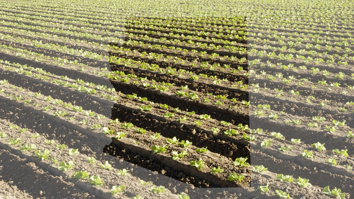Arizona Value Integrated Food-Energy-Water (ARVIN-FEW) Arizona Value Integrated Food-Energy-Water (ARVIN-FEW)
