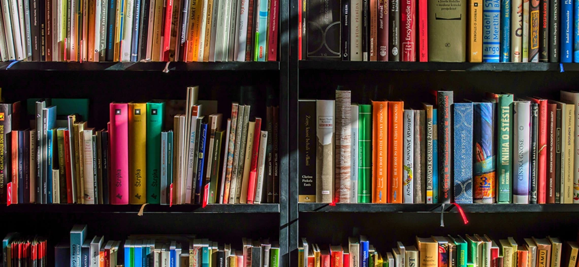 a bookshelf with books a bookshelf with books