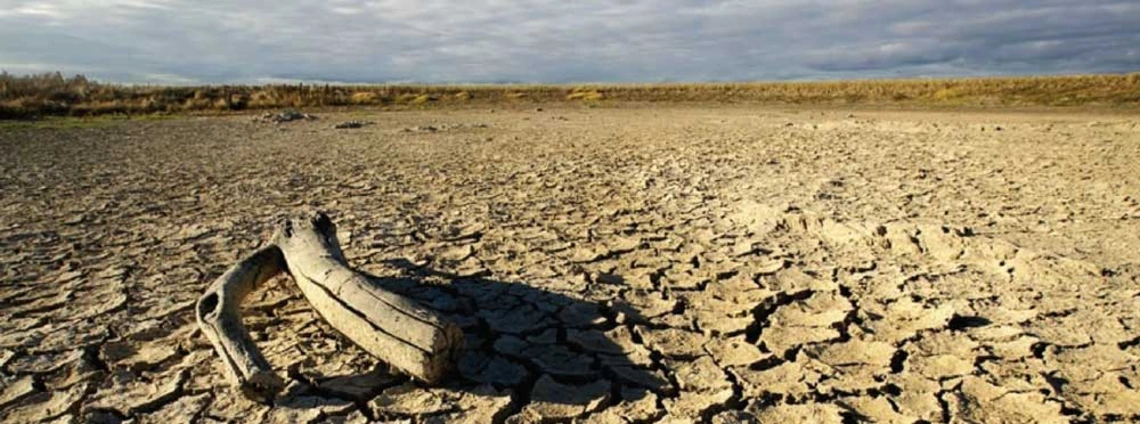 Image of parched land Image of parched land