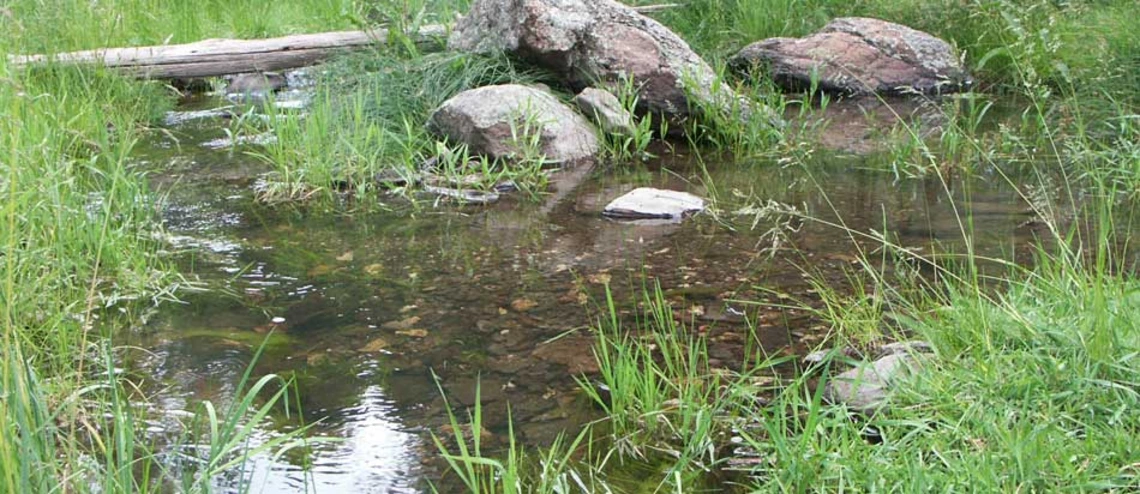New Efforts to Raise Groundwater Awareness Underway groundwater fed pool