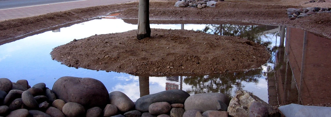 rainwater harvesting rainwater harvesting