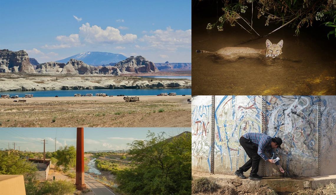 photo collage four images: top left: mountains and body of water, top right: large cat swimming, bottom left: houses near a stream, bottom right: a man picking something up