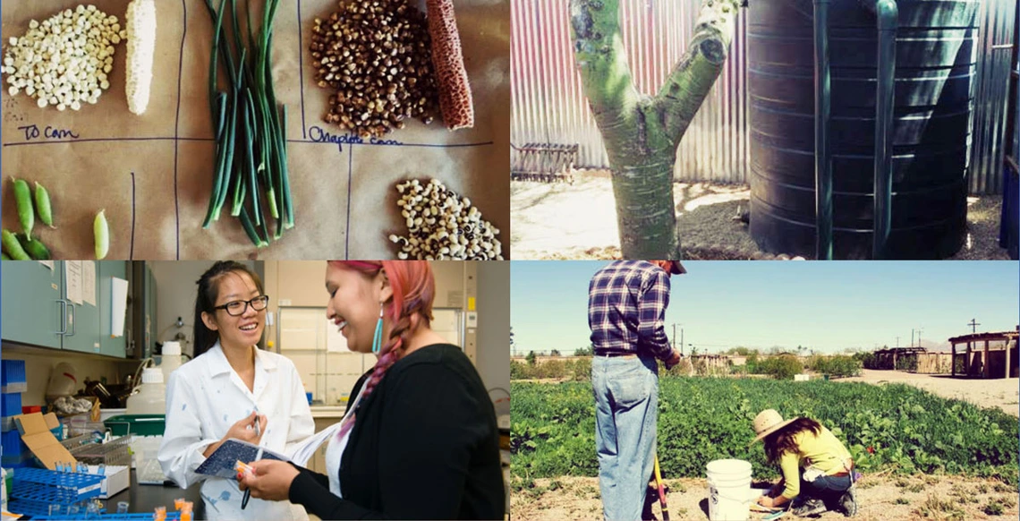 Project Harvest collage Project Harvest collage