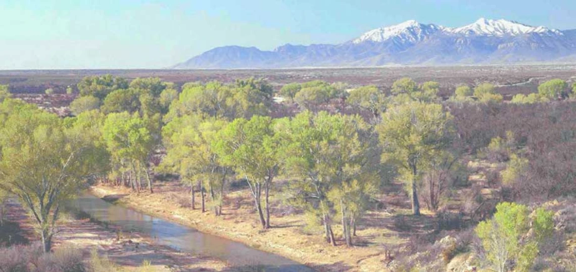 Image of Riparian area Image of Riparian area