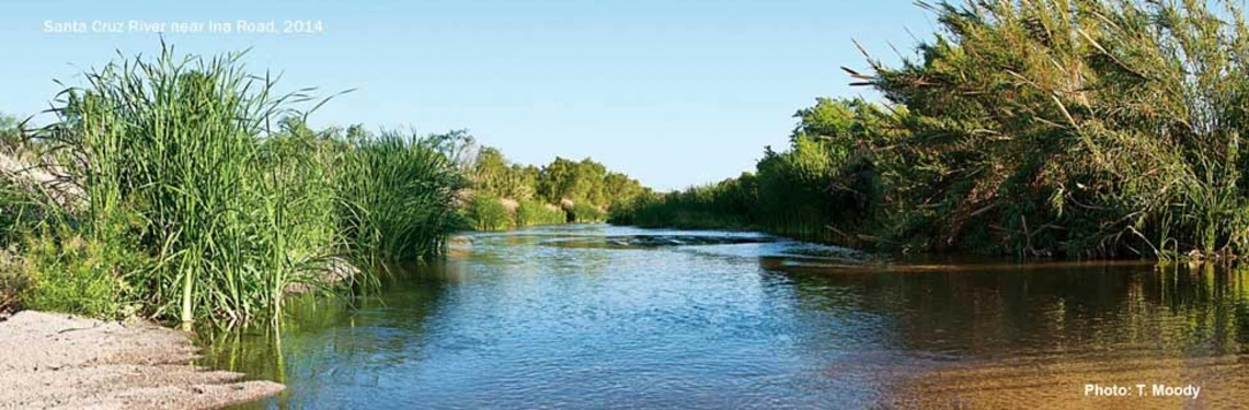 Santa Cruz River Santa Cruz River