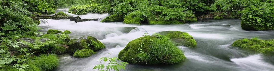 Image of a river in Virgina Image of a river in Virgina