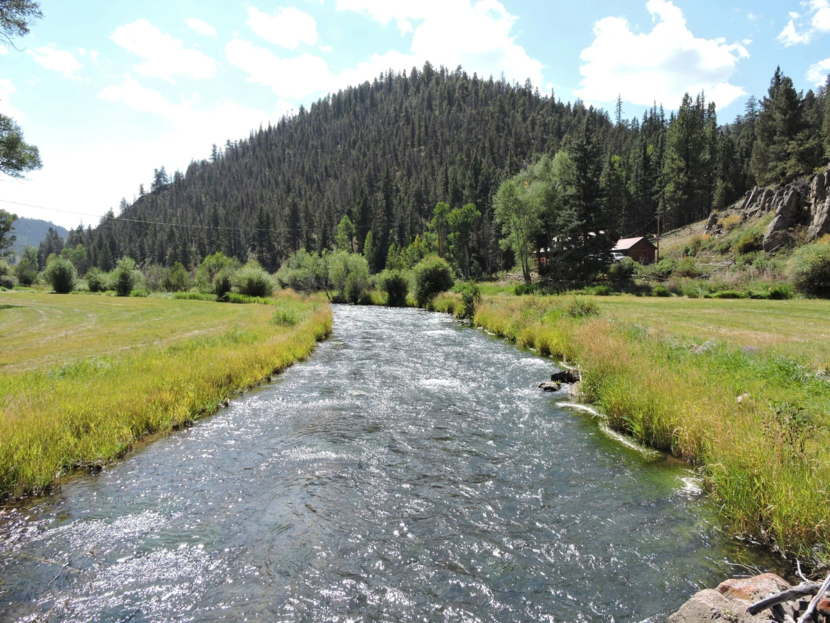 Cebolla Creek in the upper Colorado river basin. Photo shows the creek flowing toward a pine tree covered mountain or hill beneath blue sky and white clouds.