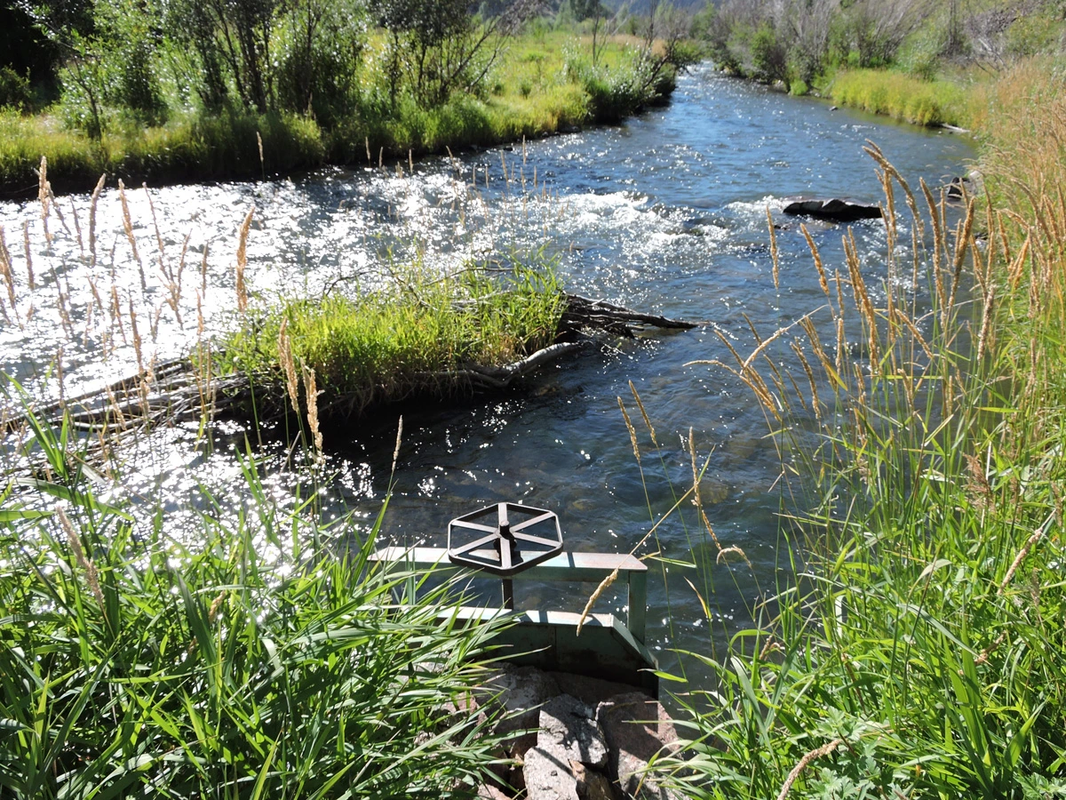 Photo of Cebolla Creek. It curves away to the left while a portion of the water is diverted by a small rock dam into the headgate of an irrigation ditch