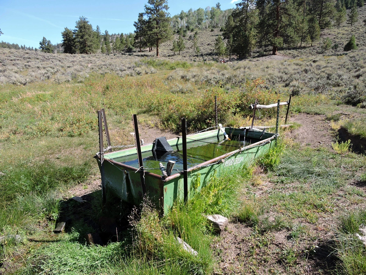 photo of spring box which allows for both inflow and outflow, keeping water relatively clean.