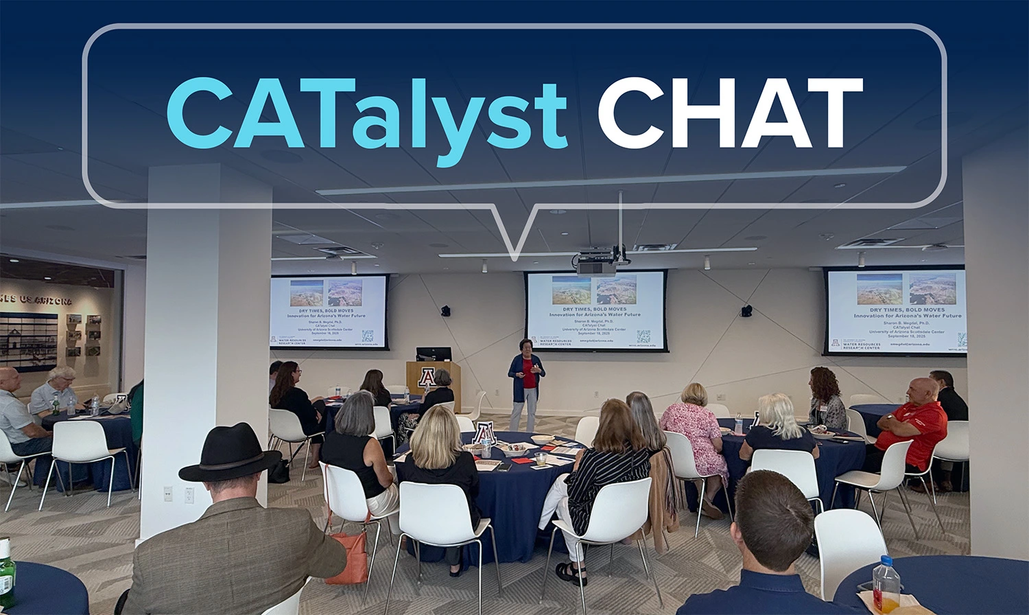 CATalyst CHAT