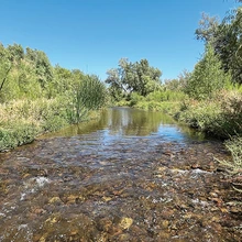 Santa Cruz River in Marana
