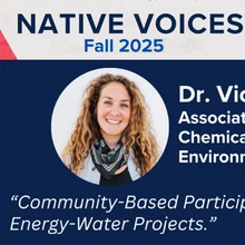 NVIS Nov 11 webinar