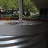 rainwater harvesting at the WRRC