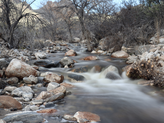 Carson Dimaria photo showing Bear Canyon Wash with water flowing through it. The motion of the water is captured by the photographer