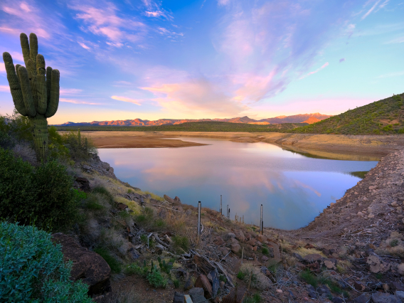 Ted Wuollet photo showing Horshoe Dam Reservoir in the evening with a cactus toward the front and purple clouds and blue sky in the background
