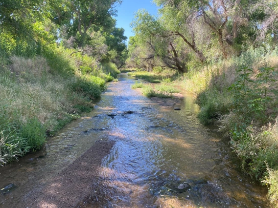 santa cruz river
