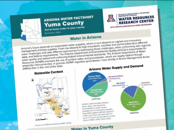 weekly wave lead image showing yuma factsheet and a field with lettuce