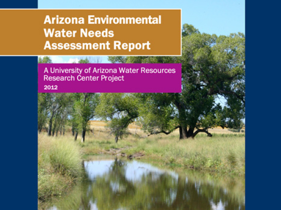 Arizona environmental water needs assessment report cover
