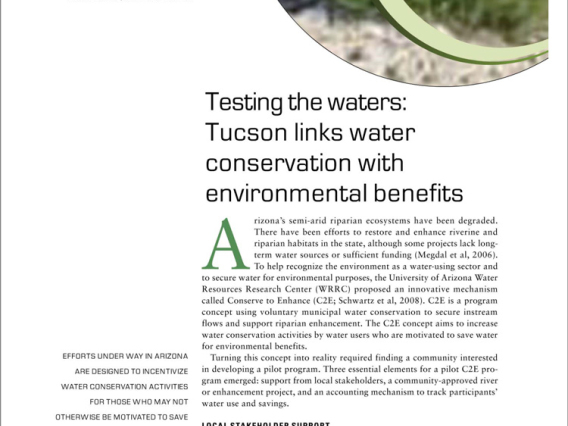 testing the waters cover image showing plants