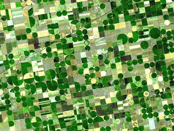 Aerial view of crops in Kansas