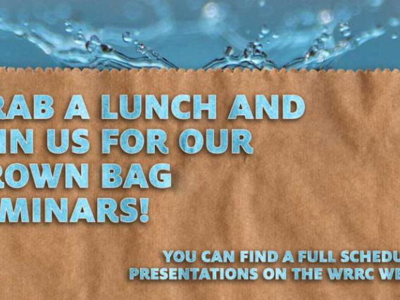 Brown Bag Seminar Promo