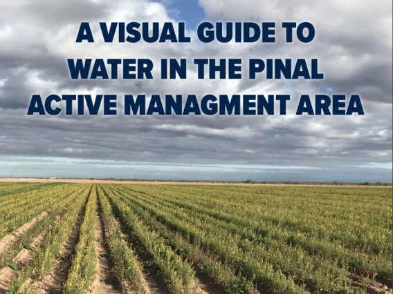 A Visual Guide to Water in the Pinal Active Management Area