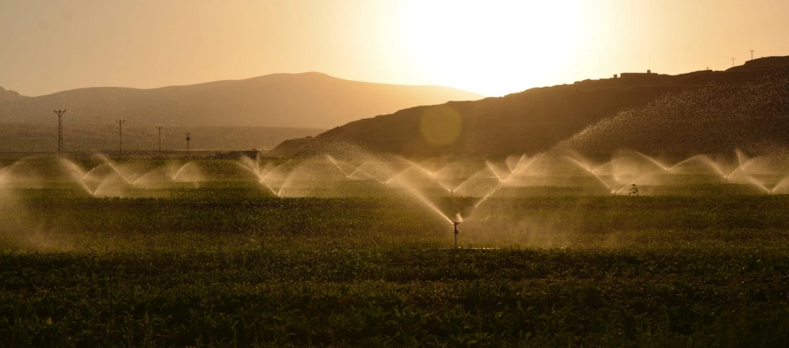 Water spraying a field Water spraying a field