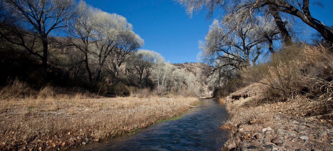 San Pedro River San Pedro River