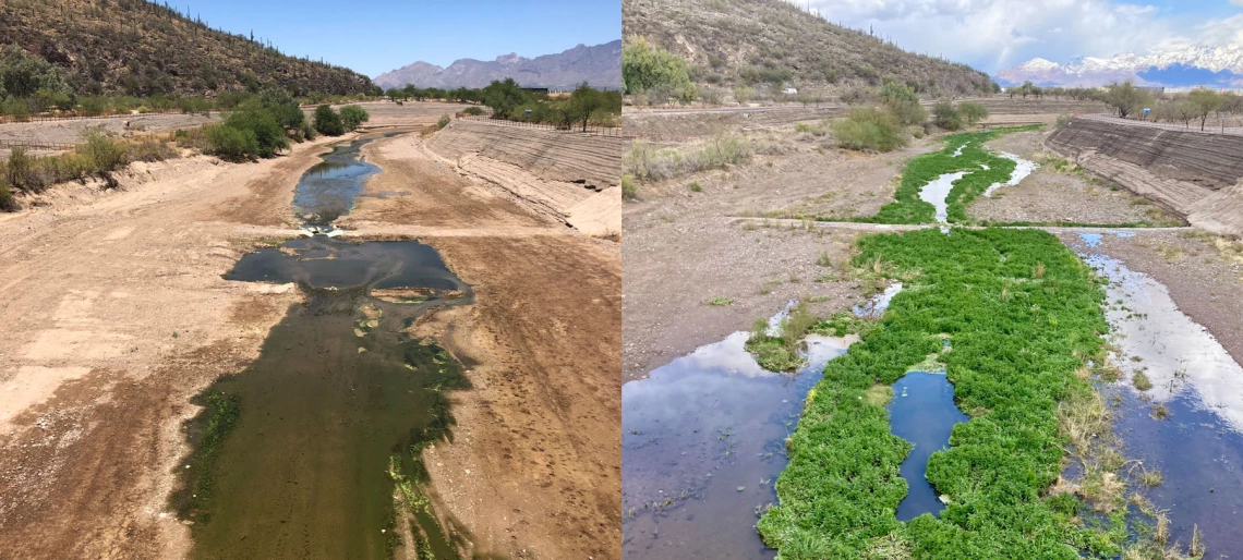 Tucson Water aquifer banking and riparian restoration projects Tucson Water aquifer banking and riparian restoration projects