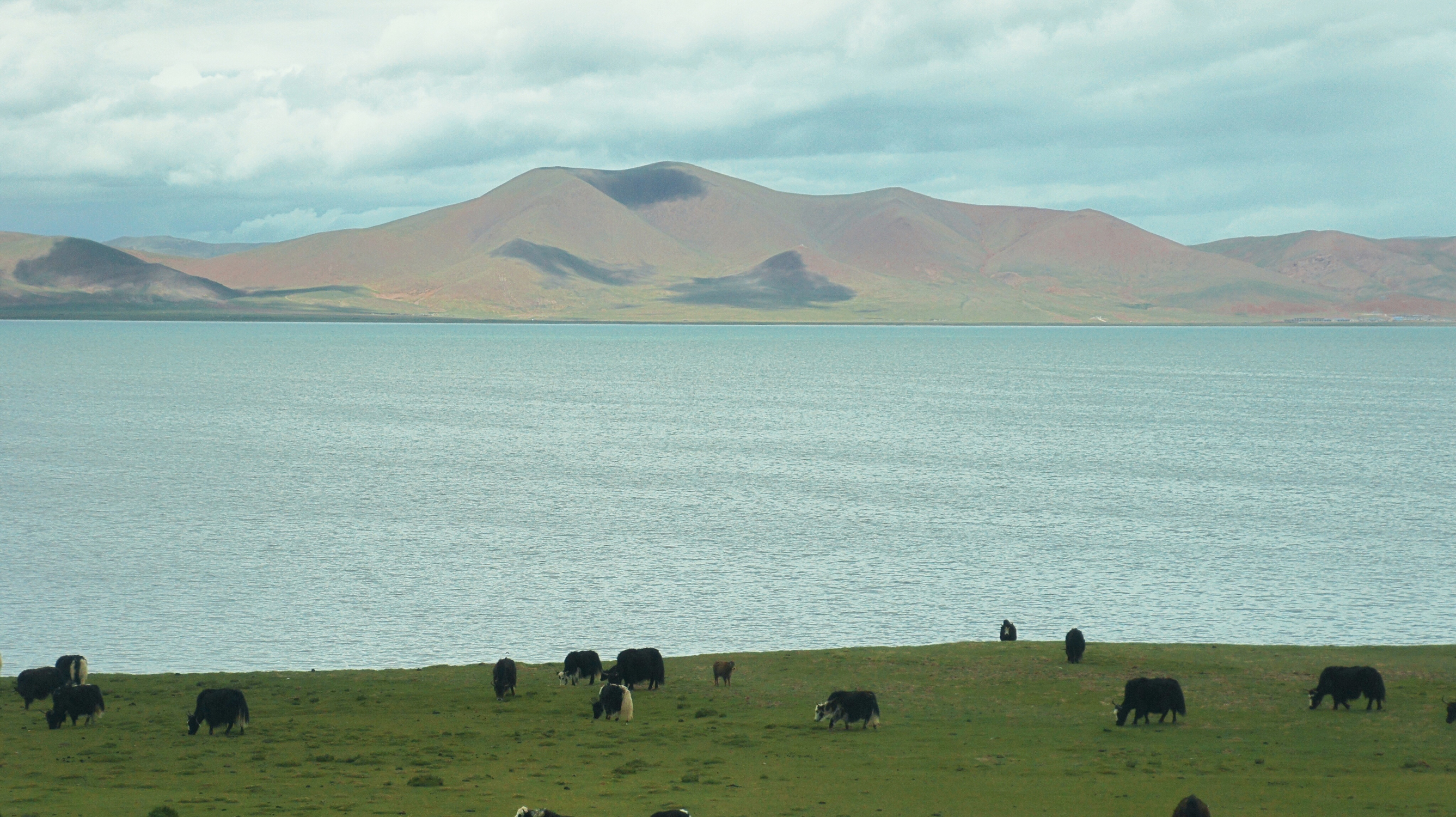 Wenkai Jiang - lake - Tibet