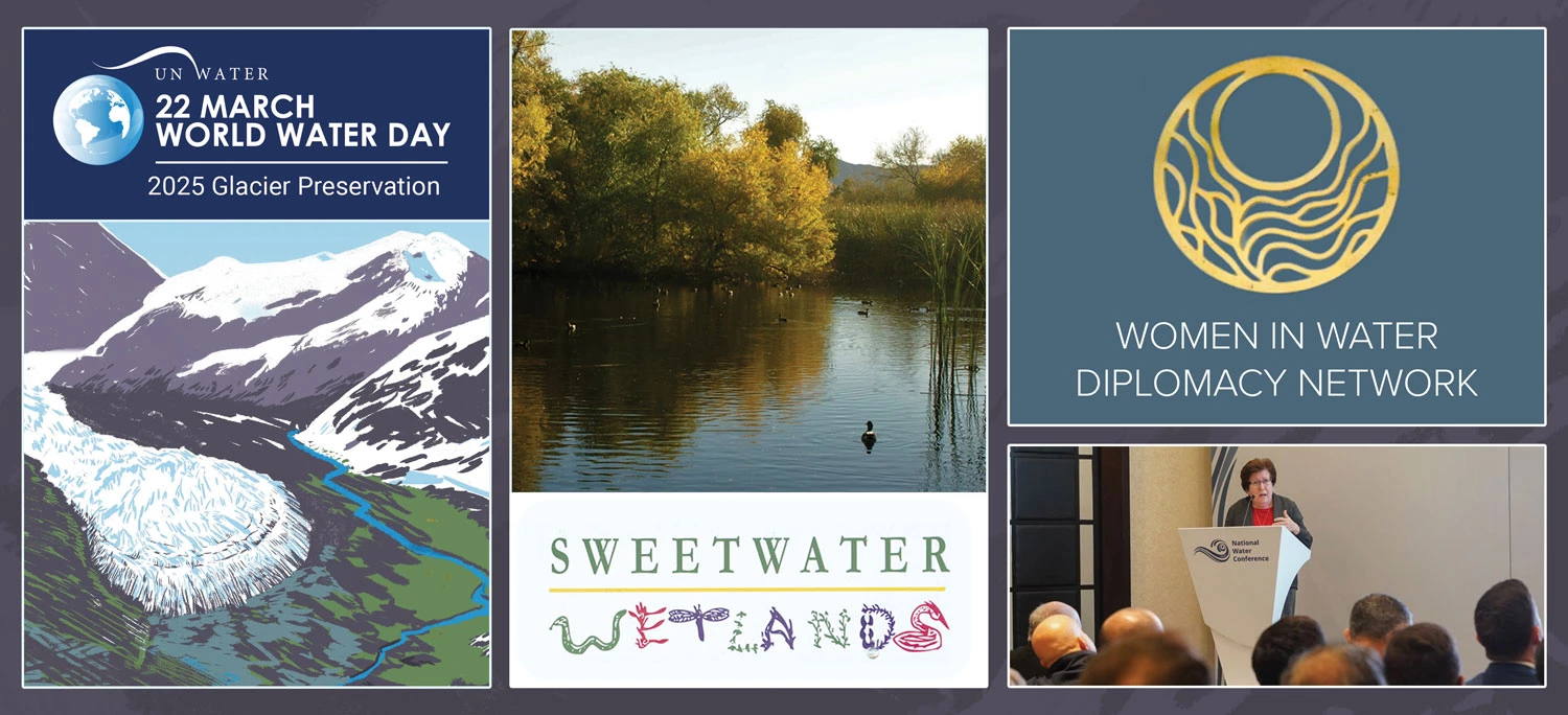 Collage featuring World Water Day 2025 poster, wetland scene, Women in Water Diplomacy Network logo, and a speaker at a podium