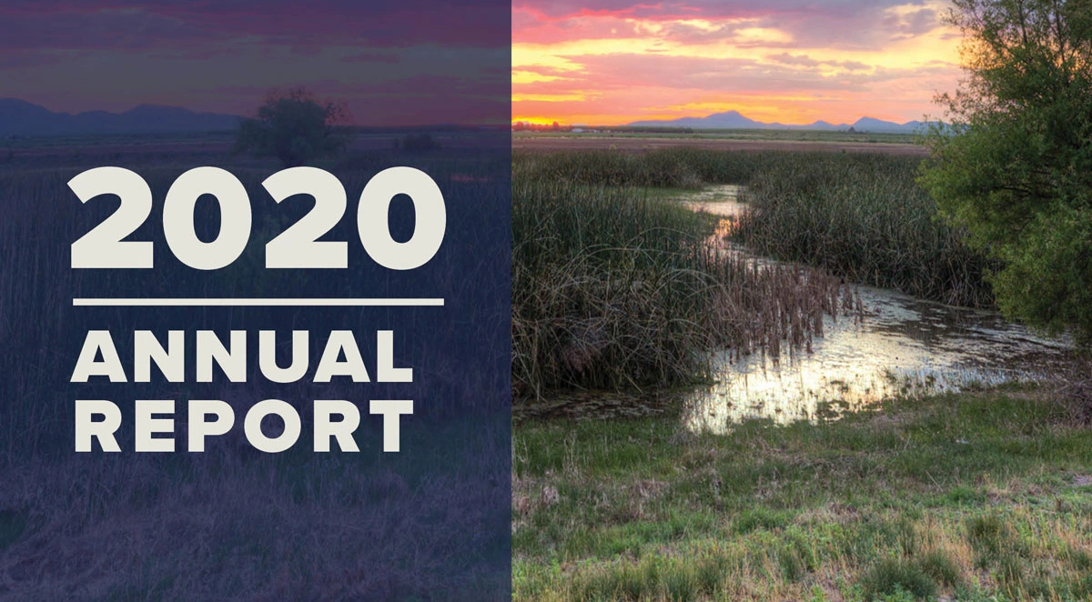 Cover WRRC 2020 Annual Report Cover WRRC 2020 Annual Report