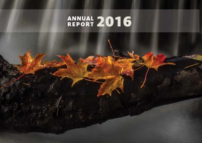 2016 Annual Report 2016 Annual Report