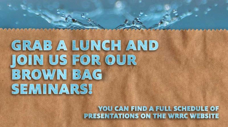 Brown Bag Seminar Promo Brown Bag Seminar Promo