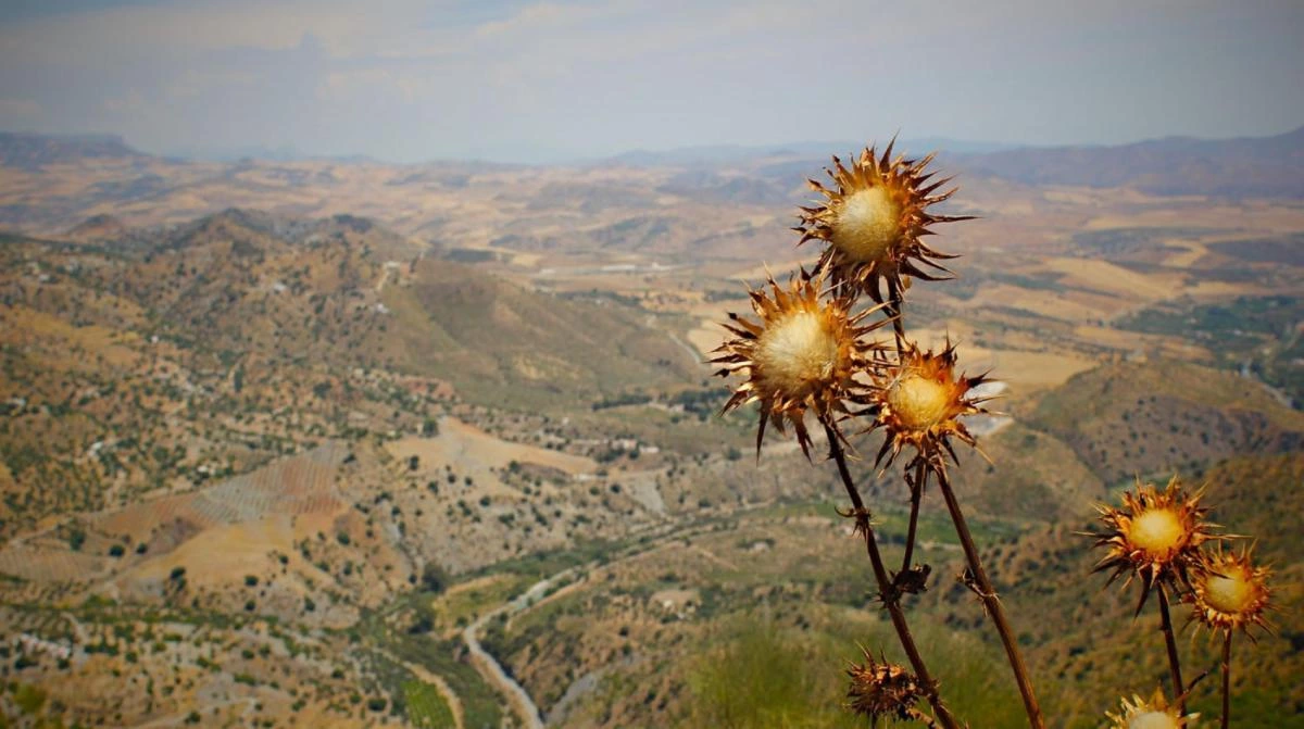 Valley view from Mountain Valley view from Mountain