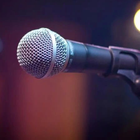 microphone in stand microphone in stand