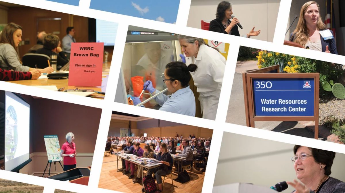 collage of images from the WRRC collage of images from the WRRC
