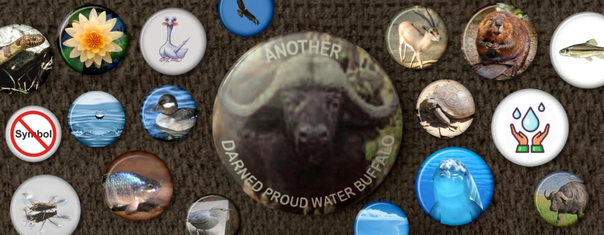 Images of lapel buttons Images of lapel buttons