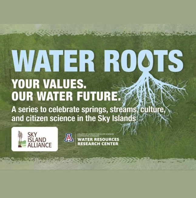 water roots graphic water roots graphic