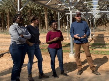 Agrivoltaics in the Arava Valley, Israel.