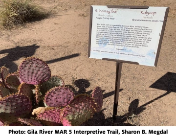 gila river interpretive trail